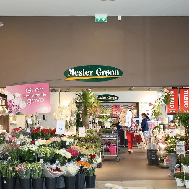Mester Grønn